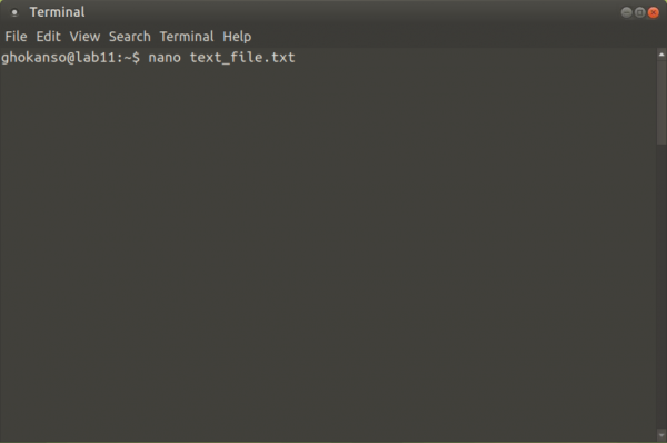Type Nano <filename> to start the Nano editor.